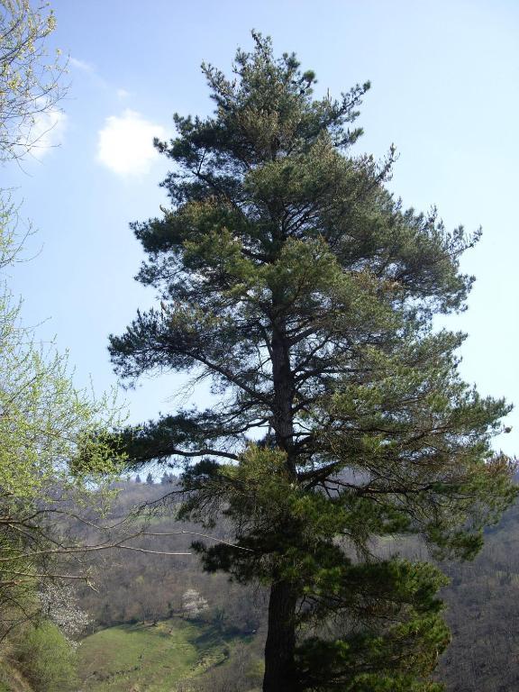 El Cobijo De Villar Mieres  Exterior foto